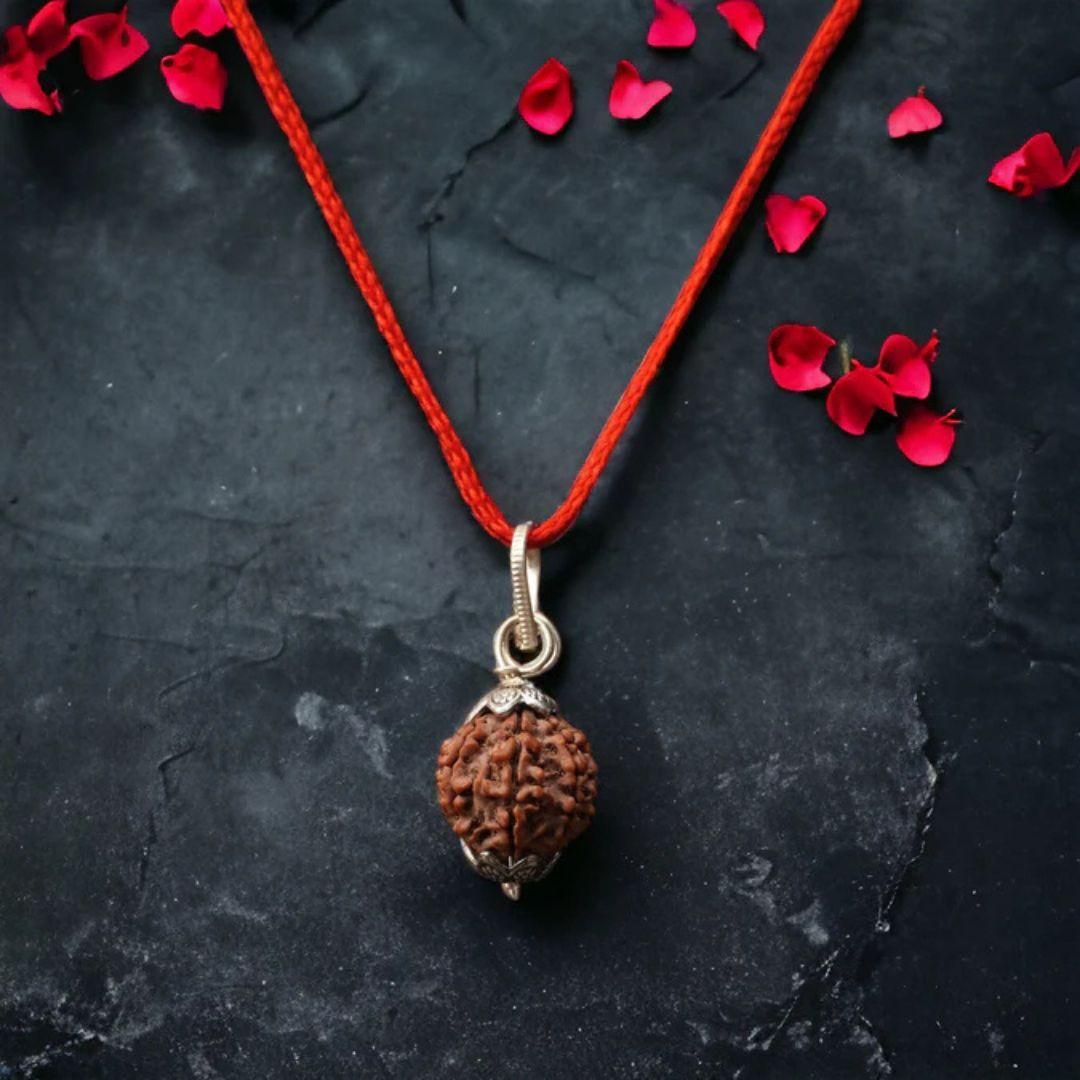 7 Mukhi Nepali Rudraksha: Prosperity, Spiritual Energy and Inner Balance