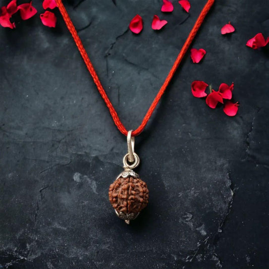 7 Mukhi Nepali Rudraksha: Prosperity, Spiritual Energy and Inner Balance