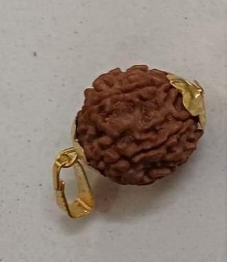 7 Mukhi Nepali Rudraksha: Prosperity, Spiritual Energy and Inner Balance